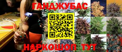 эйфоретик Коммунар