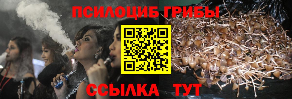 БУТИРАТ Костомукша